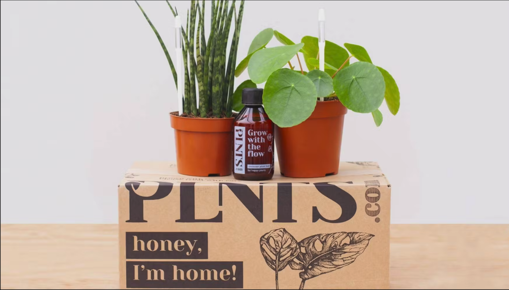 How to Acclimate Plants After Shipping Gardening Baron